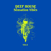 Raul Perez - A Perverse Fantasy (Deep Floor Mix)