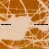 58918012 - 58TY
