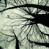 Draper Family Band、Brandon Draper、Miles Bonny - Fall On Your Sword