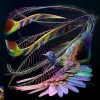 Flume、Caroline Polachek - Sirens (feat. Caroline Polachek)