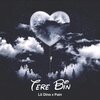 PAIN、Lil Dino - Tere Bin