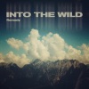 Remady《Into The Wild》[MP3/LRC]