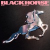 YEHAIYAHAN、JNYBeatz - Black Horse