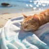 Orquesta de las Naturalezas、musica tranquila、Música para dormir Gatos - Armonía Del Gato Costero