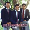 Los Hermanos Reyes - Entra Con Gozo