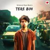 Bollywood Pyaar Music - Tere Bin
