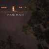 the fool - Purple Places