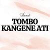 Sandi - Tombo Kangen Ati