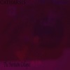 Catharsis - Confabulist