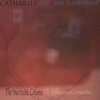 Catharsis - Inevitable Collapse (hesitating to react)