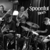 Spoonful.Blues - September Song (Live)