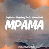 Capitata、Nkgetheng the Dj、Samuel Mafhungo、DrumTwist、Rasemate Philip Khoza、Maphahlagane Alpheus Ramoraswi - Mpama