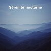 Sleeping Aid Music Lullabies、Musique Relaxante、Musique pour dormir - Écho de Douceur (Sons relaxants pour un sommeil profond et réparateur)