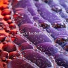 Peace In Stillness - Bridging The Gap G# Beta 103-130Hz