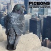 Nejma Nefertiti、Dub Sonata、Tone Spliff - Pigeons (feat. Tone Spliff)(Explicit)