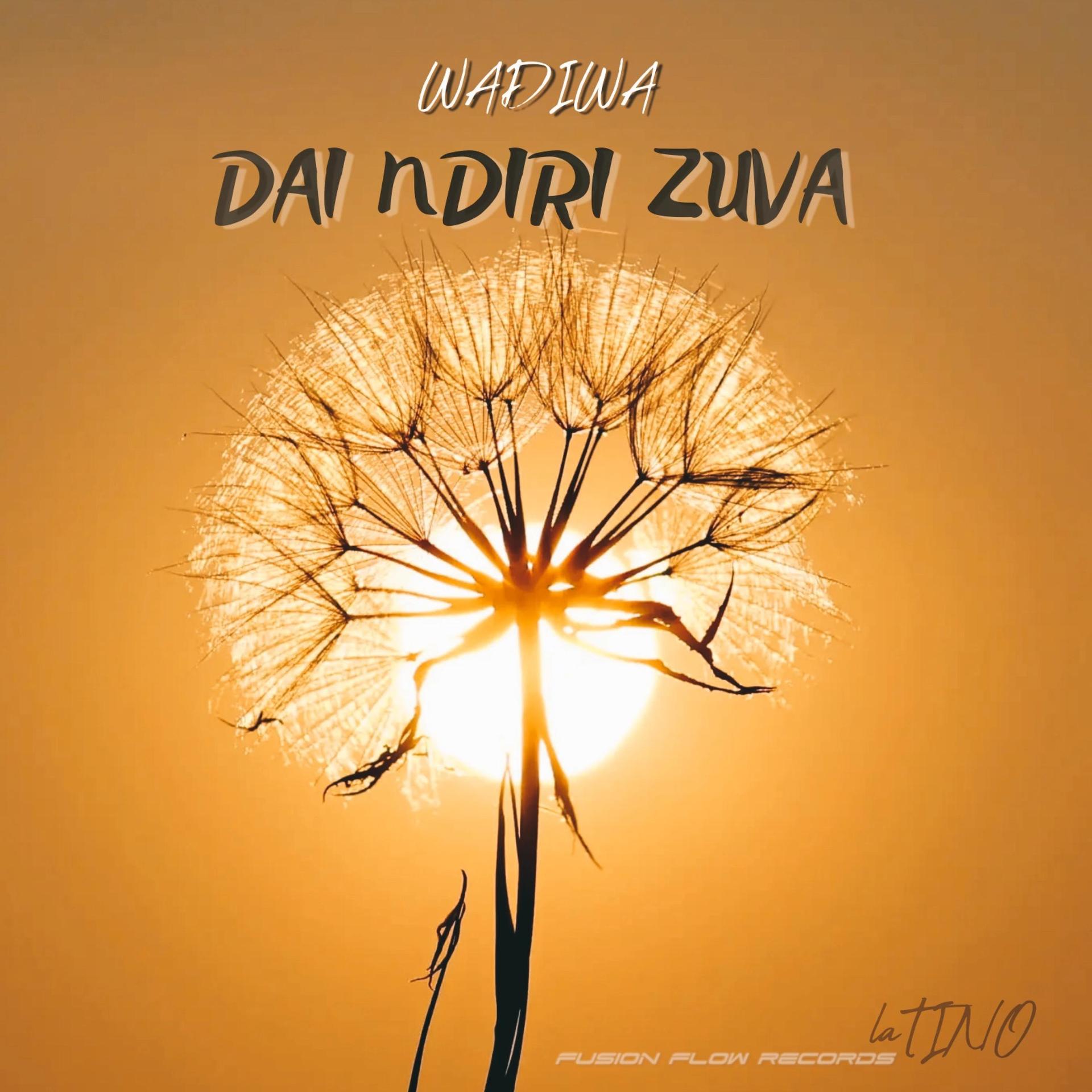 WADIWA、Latino - DAI NDIRI ZUVA