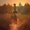 Nightingale - Ranch In The Skyline (Radio Edit)