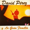 David Perez - No Bastará Mi Vida