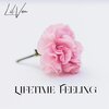 Lil Van - Lifetime Feeling