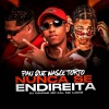 DJ Caldas、MC Lucks、MC Kal - PAU QUE NASCE TORTO NUNCA SE ENDIREITA