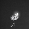 ExtraSilver - When Facing the Things We Turn Away From