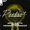 David Guetta、Mason、Princess Superstar - Perfect (Exceeder)