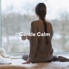 World Music for the New Age、Buddha Lounge、Relax Ambience - Cosmic Serenity Symphony (Zen Relaxation)
