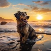 Sonidos de la naturaleza Relajacion、Sonidos de agua Ruido blanco natural、Musica para dormir para perros - Calma Canina Junto Al Arroyo