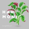 Neighbour - Harmonic