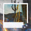 Anweezy、Moeazy - Modern Art (Explicit)