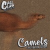 Fernando DOOM - Camels