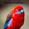 Bird Sound Collectors、Sons De La Nature、Nordic Wilderness - Bird Sleep