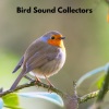 Bird Sound Collectors、Sons De La Nature、Nordic Wilderness - Chilling Birds