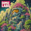 Dimo Labs - Mapping The Simulation