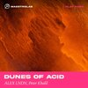 ALEX LNDN、Peter Khalil - Dunes of Acid