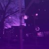 sleeping sloth - jazzz
