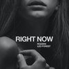 Rozzen、Leo Forest - Right Now (Explicit)