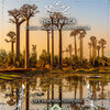 Diego Galloso、Noam Garcia、Cafe Ya Africa Tshipembe - This Is Africa