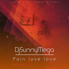 DjSunnyMega - Pain Lose Love