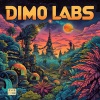 Dimo Labs - Head Held High