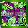 Sentinel Groove - Direkt Dizzgo