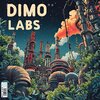 Dimo Labs - Somewhere Like Before