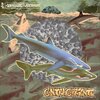 SpaceKiddo、Rotterdam - Contracorriente