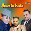 Florin Baboi、Florin Salam、Liviu Pustiu、Nicolae Guta、Geo De La Timisoara - Geam la burtă