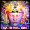 Twisted Desire - Psychedelic Mind