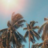 conkarah、Vintage Reggae Soundsystem、Small Jam、Petro Moyez - Sunset Island