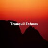 Reiki Warmth、Earth Frequencies and 432 Hz Frequencies、Ambient Chill - Serene Solitude (Relaxing Music for Sleep, Relaxation and Meditation)