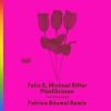 Felix E、Michael Ritter、Patrice Bäumel《Plastikrosen feat. Solveig Eger (Patrice Bäumel Remix)》[MP3/LRC]