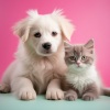 Grabaciones de campo、Mentes del océano、Música suave para perros - Tranquilidad Oceánica Para Mascotas