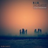 R.I.B. - Eyes of Heavenly Color